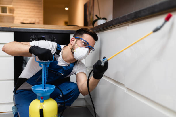 Best Affordable Pest Control Services  in Grace, ID