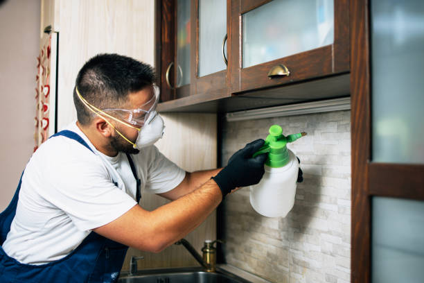 Best Pest Inspection Near Me  in Grace, ID