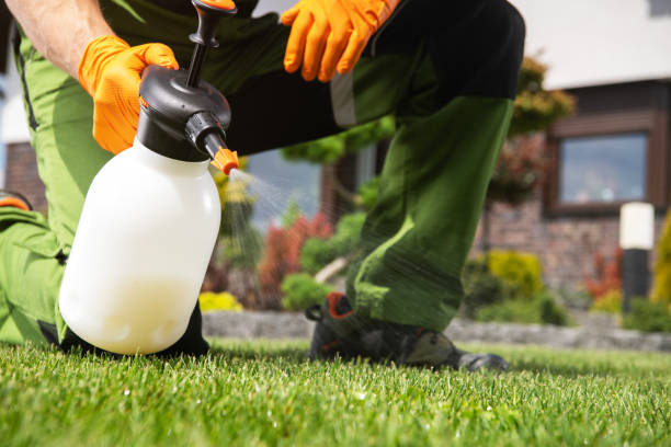 Best Emergency Pest Control  in Grace, ID