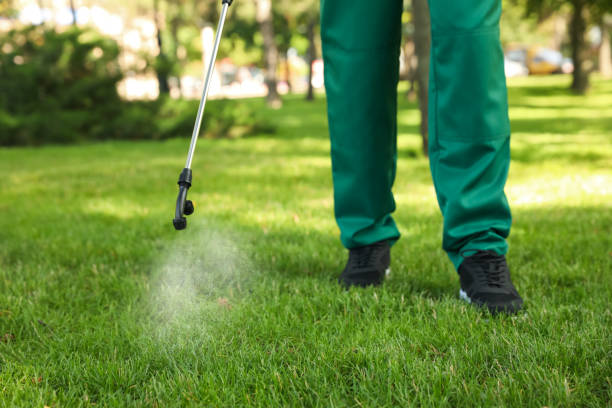 Best Affordable Pest Control Services  in Grace, ID