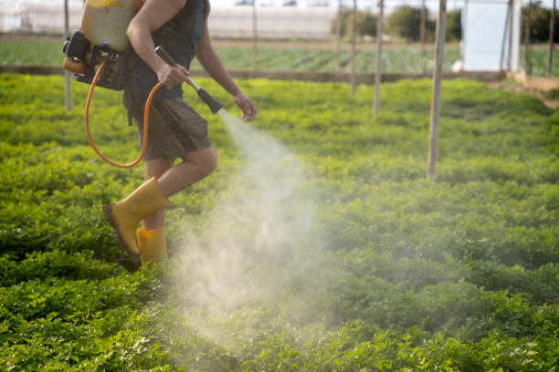 Best Insect Control  in Grace, ID