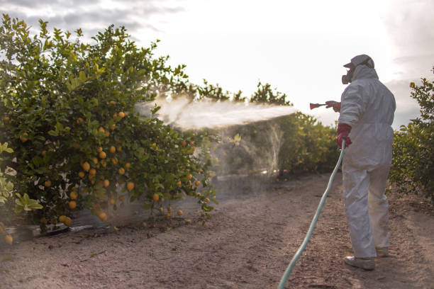 Best Commercial Pest Control Services  in Grace, ID