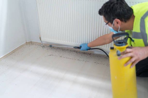 Best Exterminator Services  in Grace, ID
