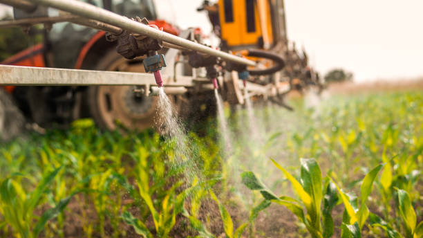 Best Ant Control Services  in Grace, ID