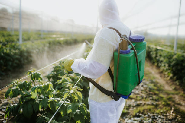 Best Exterminator Services  in Grace, ID